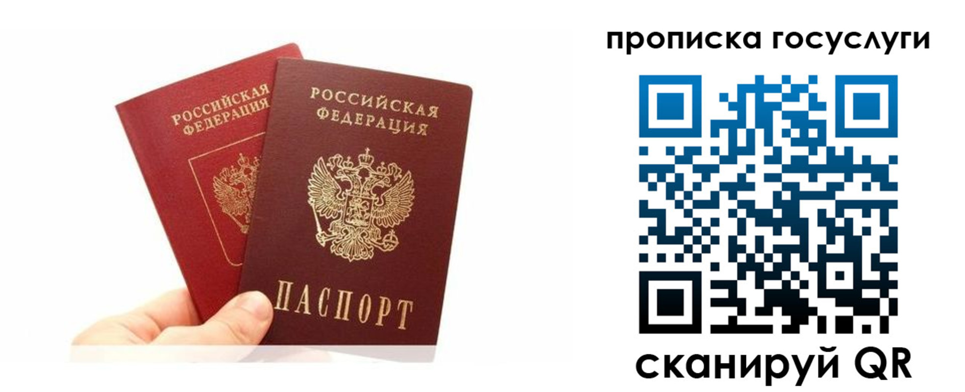 временная регистрация для всех в Петропавловске-Камчатском